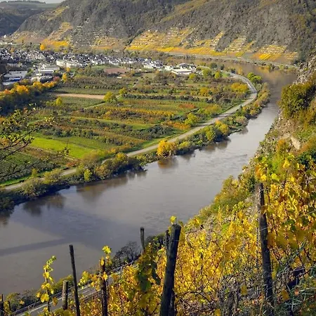 Appartement 2-zimmer 52 Qm Bis Zu 4 Personen Winningen