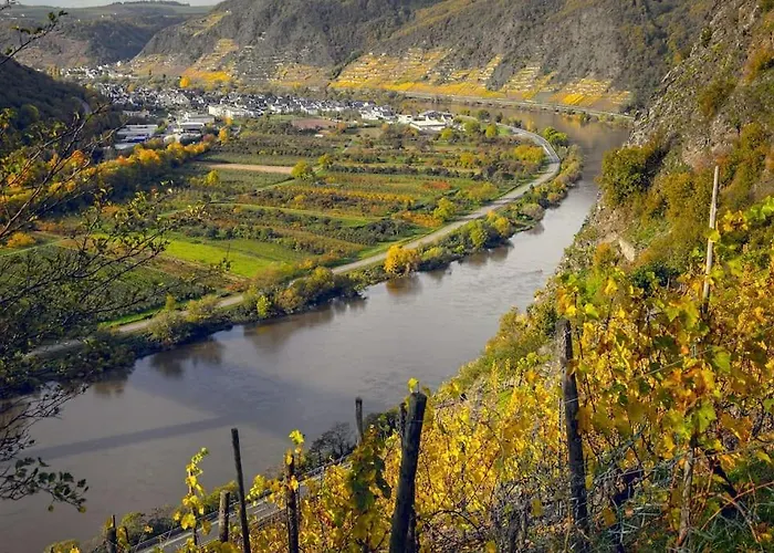 Apartament 2-zimmer 52 Qm Bis Zu 4 Personen Winningen